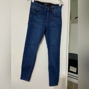 Curve Appeal Indigo Women's Skinny Jeans